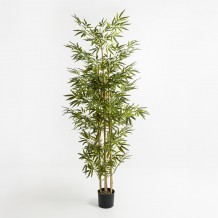 BAMBOO ΔΕΝΤΡΟ ΤΕΧΝΗΤΟ ΣΕ ΓΛΑΣΤΡΑ 190cm POLYESTER ΠΡΑΣΙΝΟ PVC c540505