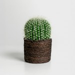 FEROCACTUS ΦΥΤΟ ΤΕΧΝΗΤΟ ΣΕ ΓΛΑΣΤΡΑ 18x18x30cm ΥΦΑΣΜΑ ΠΡΑΣΙΝΟ ΛΕΥΚΟ ΠΛΑΣΤΙΚΟ c540506