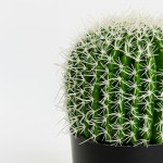 FEROCACTUS ΦΥΤΟ ΤΕΧΝΗΤΟ ΣΕ ΓΛΑΣΤΡΑ 18x18x30cm ΥΦΑΣΜΑ ΠΡΑΣΙΝΟ ΛΕΥΚΟ ΠΛΑΣΤΙΚΟ c540506