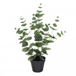 EUCALYPTUS ΦΥΤΟ ΤΕΧΝΗΤΟ ΣΕ ΓΛΑΣΤΡΑ 49cm POLYESTER ΠΡΑΣΙΝΟ PE PP c540511
