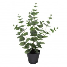 EUCALYPTUS ΦΥΤΟ ΤΕΧΝΗΤΟ ΣΕ ΓΛΑΣΤΡΑ 49cm POLYESTER ΠΡΑΣΙΝΟ PE PP c540511