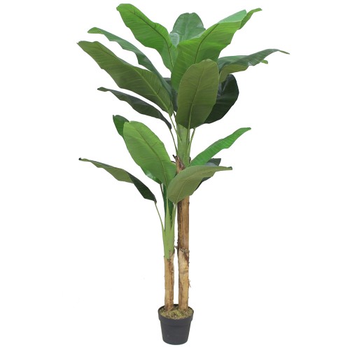 BANANA ΔΕΝΤΡΟ ΤΕΧΝΗΤΟ ΣΕ ΓΛΑΣΤΡΑ 180cm PEVA ΠΡΑΣΙΝΟ c540568