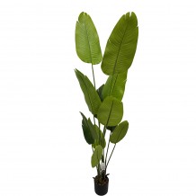 BANANA ΔΕΝΤΡΟ ΤΕΧΝΗΤΟ ΣΕ ΓΛΑΣΤΡΑ 200cm PEVA ΠΡΑΣΙΝΟ c540570