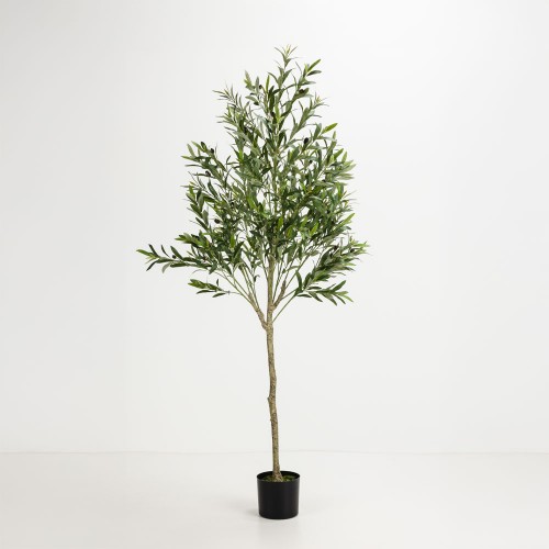 OLIVE TREE ΔΕΝΤΡΟ ΤΕΧΝΗΤΟ ΣΕ ΓΛΑΣΤΡΑ 180cm ΥΦΑΣΜΑ ΠΡΑΣΙΝΟ PVC c540571