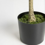 OLIVE TREE ΔΕΝΤΡΟ ΤΕΧΝΗΤΟ ΣΕ ΓΛΑΣΤΡΑ 180cm ΥΦΑΣΜΑ ΠΡΑΣΙΝΟ PVC c540571