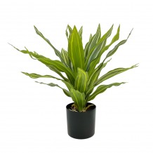 RAIN RIGA ΦΥΤΟ ΤΕΧΝΗΤΟ ΣΕ ΓΛΑΣΤΡΑ 45cm ΥΦΑΣΜΑ ΠΡΑΣΙΝΟ PVC c540572