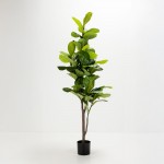 FICUS PANDURATA ΔΕΝΤΡΟ ΤΕΧΝΗΤΟ ΣΕ ΓΛΑΣΤΡΑ 180cm ΥΦΑΣΜΑ ΠΡΑΣΙΝΟ PVC c540573
