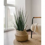 DARK PURE GRASS ΦΥΤΟ ΤΕΧΝΗΤΟ ΣΕ ΓΛΑΣΤΡΑ 68cm PVC ΠΡΑΣΙΝΟ ΣΚΟΥΡΟ c540579