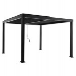 ΠΕΡΓΚΟΛΑ-ΚΙΟΣΚΙ ΜΕ ΚΙΝΟΥΜΕΝΕΣ ΠΕΡΣΙΔΕΣ FRANIO HM6609 01 ΑΛΟΥΜΙΝΙΟ ΜΑΥΡΟ 300x300x240Υεκ c541665