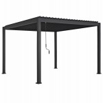 ΠΕΡΓΚΟΛΑ-ΚΙΟΣΚΙ ΜΕ ΜΕΤΑΛΛΙΚΕΣ ΠΕΡΣΙΔΕΣ DOMECIL HM6611 01 ΑΛΟΥΜΙΝΙΟ ΜΑΥΡΟ 300x300x240Υεκ c541667