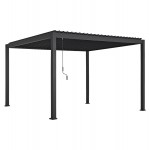 ΠΕΡΓΚΟΛΑ-ΚΙΟΣΚΙ ΜΕ ΜΕΤΑΛ ΠΕΡΣΙΔΕΣ DOMECIL HM6612 01 ΑΛΟΥΜΙΝΙΟ ΜΑΥΡΟ 300x400x240Υεκ c541668