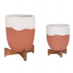 ΓΛΑΣΤΡΕΣ ΣΕΤ 2ΤΜΧ SEON HM4686 08 TERRACOTTA ΣΕ ΛΕΥΚΟ ΤΕΡΑΚΟΤΑ--TEAK ΒΑΣΗ c541717