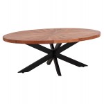 ΤΡΑΠΕΖΙ ΣΑΛΟΝΙΟΥ ΟΒΑΛ MONTANA SUPERIOR HM9906 ΞΥΛΟ ΑΚΑΚΙΑΣ-ΜΕΤΑΛΛΟ 120x61x45Υεκ c542518