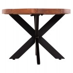 ΤΡΑΠΕΖΙ ΣΑΛΟΝΙΟΥ ΟΒΑΛ MONTANA SUPERIOR HM9906 ΞΥΛΟ ΑΚΑΚΙΑΣ-ΜΕΤΑΛΛΟ 120x61x45Υεκ c542518