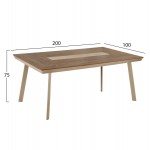 ΤΡΑΠΕΖΙ ΑΛΟΥΜΙΝΙΟΥ TABER HM5131 04 ΚΑΠΟΥΤΣΙΝΟ ΜΕ POLYWOOD TOP 200x100x75Υεκ c542787