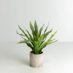 PUMOR ΚΑΣΠΩ ΣΕΤ 3ΤΜΧ 18x18x18cm ΚΕΡΑΜΙΚΟ ΜΠΕΖ ΛΕΥΚΟ c543088