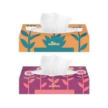 Κουτί Facial 90 Πολύ Απαλών Χαρτομάντηλων ENDLESS Σετ 6 c543784