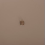 ΤΡΑΠΕΖΙ ΒΟΗΘΗΤΙΚΟ ΕΞ ΧΩΡΟΥ MINO HM6432 03 ΑΛΟΥΜΙΝΙΟ ΣΧΟΙΝΙ ΚΑΠΟΥΤΣΙΝΟ Φ47x53Υεκ c544008