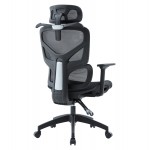 ΚΑΡΕΚΛΑ ΓΡΑΦΕΙΟΥ APEX HM1227 01 ΜΑΥΡO MESH PP 68x68x120-130Υεκ c545630