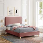 ΚΡΕΒΑΤΙ ΗΜΙΔΙΠΛΟ ΜΕ ΣΤΡΩΜΑ MAYLIN HM10802 ΒΕΛΟΥΔΟ ΣΑΠΙΟ ΜΗΛΟ--ΣΤΡΩΜΑ 120Χ200εκ c548843