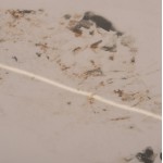 ΤΡΑΠΕΖΙ ΤΡΑΠΕΖΑΡΙΑΣ AIKA HM18421 ΚΕΡΑΜΙΚΟ TOP ΣΕ ΛΕΥΚΟ ΧΡΥΣΟ ΜΑΡΜΑΡΟ 160x90x79Υεκ c552044