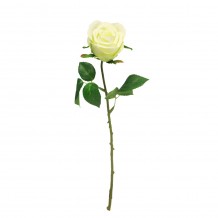 ROSΑ ΤΡΙΑΝΤΑΦΥΛΛΟ ΛΕΥΚΟ Υ44cm c60300