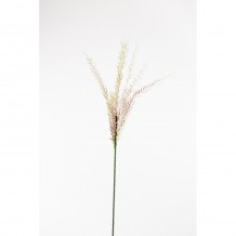 CARNEA ΚΛΑΔΙ ΠΡΑΣΙΝΟ ΜΩΒ Υ115cm c61492