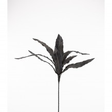 MOORE ΦΥΛΛΑ ΜΑΥΡΑ Υ100cm c61497