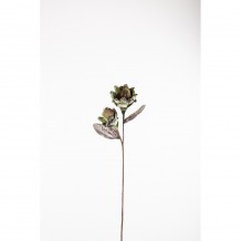 GINGER ΑΝΘΟΣ ΠΡΑΣΙΝΟ Υ100cm c61502