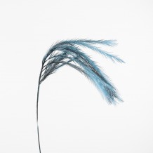 POLUO ΚΛΑΔΙ ΜΠΛΕ ΓΚΡΙ Υ110cm c61504